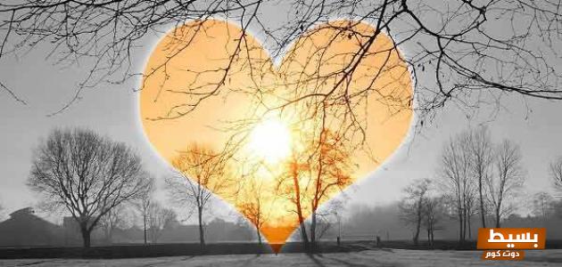 عبارات جميلة مريحة للقلب 2025 تويتر كلمات سحرية تجلب السعادة والراحة لقلبك 6 عبارات جميلة مريحة للقلب