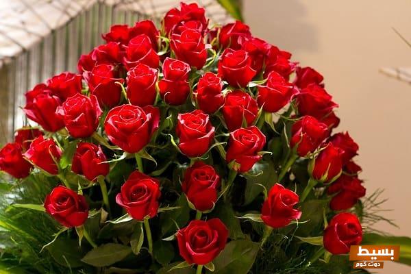 عبارات شكر مؤثرة تعبر عن الامتنان على هدية ورد رائعة 2 عبارات شكر على هدية ورد