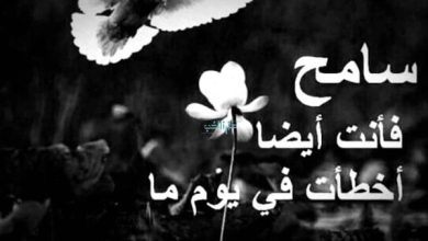 عبارات ملهمة عن التسامح مفتاح الحياة السعيدة والسلام الداخلي 5 عبارات عن التسامح3