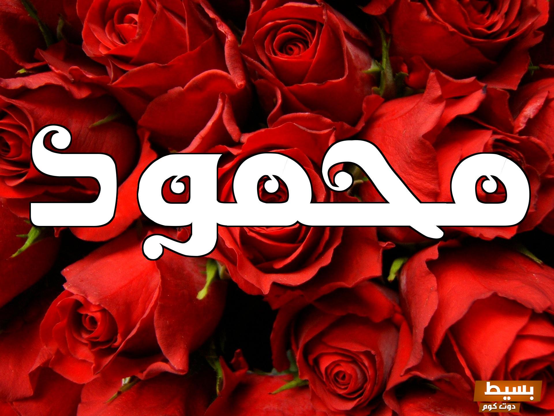 عيوب اسم محمود اكتشف الجوانب الخفية وراء هذا الاسم الشهير وتأثيره على الشخصية! 13 عيوب اسم محمود