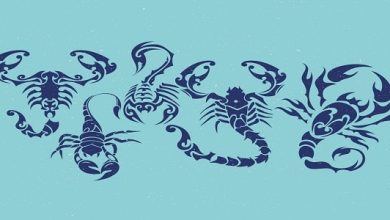 عيوب رجل برج العقرب وما هي صفاته السلبية؟ اكتشف الجوانب الخفية في شخصيته وتعرف على التحديات التي قد تواجهها! 4 عيوب رجل برج العقرب وما هي صفاته السلبية؟