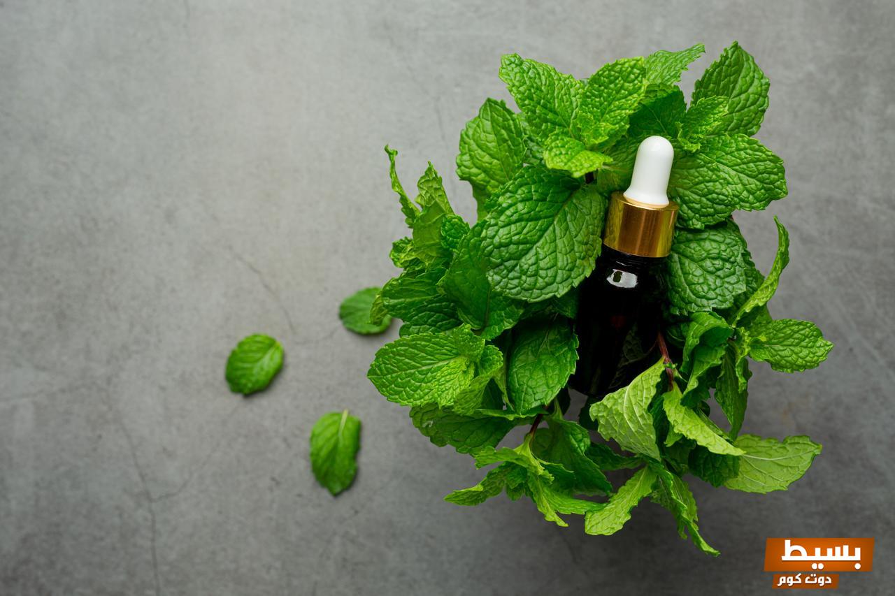 فوائد زيت النعناع للشعر اكتشف القوة السحرية لهذا الزيت الطبيعي لتعزيز صحتك وتجديد جمال شعرك! 5 فوائد زيت النعناع للشعر