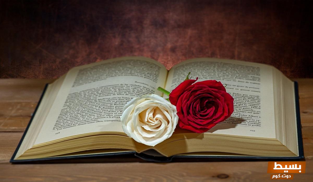 قراءة و تحميل كتاب رحلتي من النقاش إلي البلوك pdf اكتشف أسرار التحول الشخصي والمهني في رحلة ملهمة! 5 قراءة و تحميل كتاب رحلتي من النقاش الي البلوك pdf 1