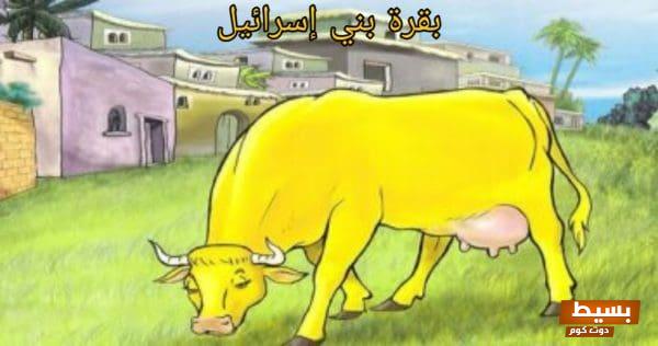 قصة بقرة بني إسرائيل: حكاية مدهشة تعكس أسرار الحكمة والعدالة الإلهية! 1 قصة بقرة بني إسرائيل