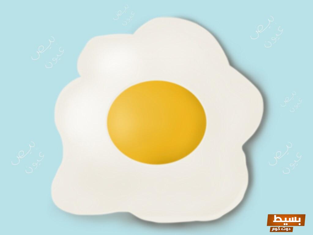 قصة عن البيض رحلة استثنائية تبدأ من الفراخة إلى المائدة! 5 قصة عن البيض
