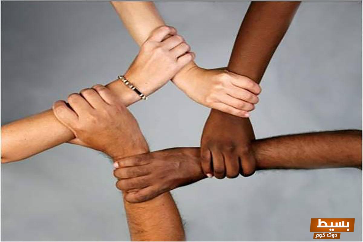 قصة ملهمة في الاتحاد قوة، كيف يمكن للتعاون أن يحقق المستحيل! 5 قصة عن في الاتحاد قوة