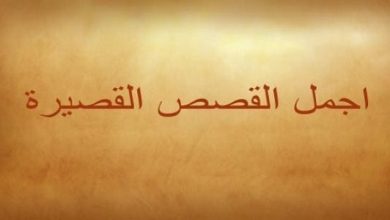 قصة قصيرة خيالية للكبار 2025 رحلة ساحرة إلى عوالم غير محدودة تنتظر اكتشافك! 6 قصة قصيرة خيالية للكبار