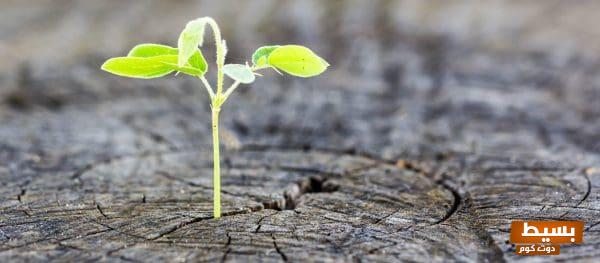 كلام جميل ملهم عن الحياة والأمل: رسائل إيجابية تشعل روح التفاؤل في قلوبنا! 6 كلام جميل عن الحياة والأمل scaled