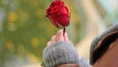 كلمات مؤثرة وجميلة تُبرز احترامك لشخصٍ عزيز عليك تعبير رائع عن التقدير والامتنان! 2 كلام جميل لإنسان تحترمه