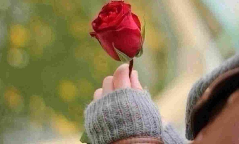 كلمات مؤثرة وجميلة تُبرز احترامك لشخصٍ عزيز عليك تعبير رائع عن التقدير والامتنان! 1 كلام جميل لإنسان تحترمه