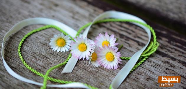 كلام من أعماق القلب +50 رسالة مؤثرة ماذا يقول قلبي لقلبك 3 كلام من أعماق القلب1