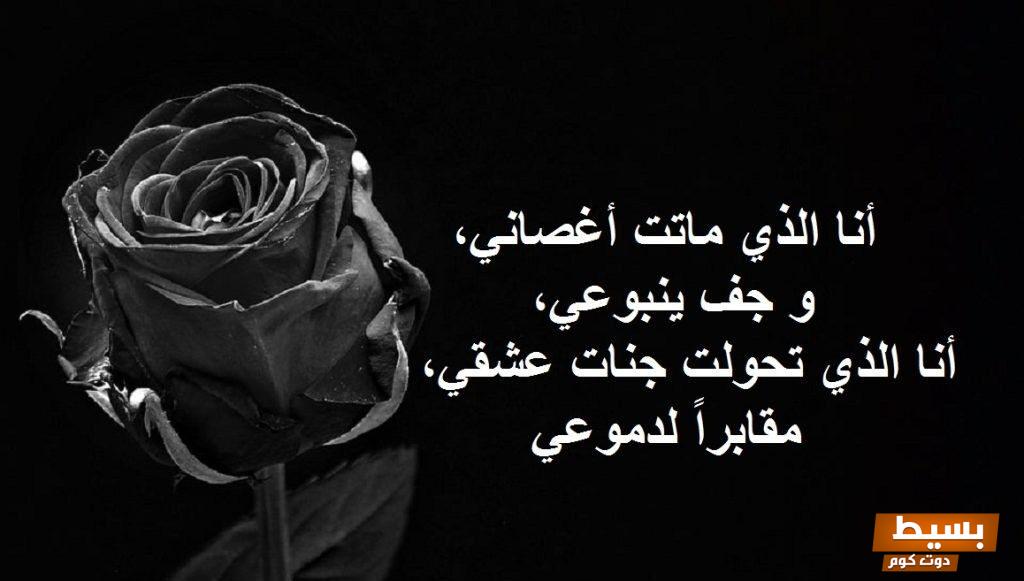 كلمات مؤثرة عن الحب والفراق والعذاب +45 أجمل ما قيل عن البعد في الحب استمتع باكتشاف مشاعر عميقة ومؤلمة تعبر عن ألم الفراق وتجارب الحب! 2 كلمات عن الحب والفراق والعذاب e1722670503451