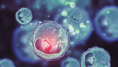 <p><strong>أشياء ترفع نسبة هرمون الحمل وتزيد فرص النجاح: اكتشف العوامل المهمة لتحقيق حلم الأمومة!</strong></p> 5 كم تكون نسبة هرمون الحمل حتى يظهر كيس الحمل