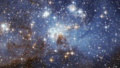 تفسير حلم النجمة على الكتف: دلالات ورموز تثير الفضول وتكشف الغموض! 7 كيف تتكون النجوم scaled