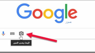 كيفية البحث عن مصدر الصورة الأصلي في جوجل بطريقة فعالة وموثوقة! 6 كيفية البحث عن مصدر الصورة الأصلي في جوجل