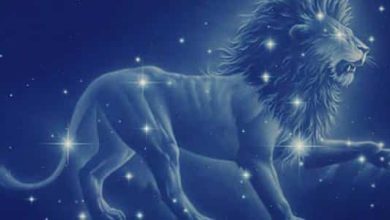 كيفية حل المشاكل مع برج الأسد بذكاء وفعالية: استراتيجيات لتجنب الصدامات وبناء علاقات متناغمة! 4 كيفية حل المشاكل مع برج الأسد