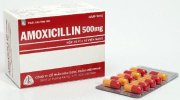 لماذا يستخدم amoxicillin