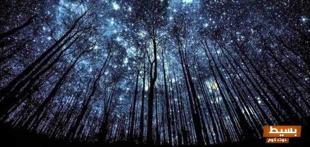 <p><strong>رؤية النجوم تتلألأ في السماء في المنام للعزباء: دلالات سحرية ومعاني عميقة</strong></p> 1 لماذا لا نرى النجوم في النهار 1