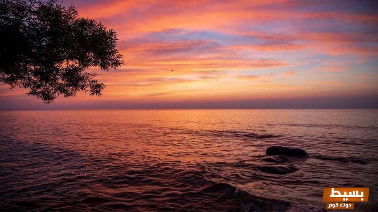 مؤلف رواية غروب وشروق اكتشف secrets الإبداع وراء هذا العمل الأدبي المميز في ويكيبيديا! 3 مؤلف رواية غروب وشروق ويكيبيديا