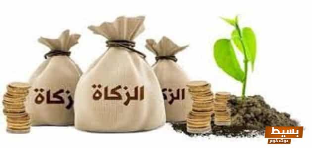 ما هو مقدار زكاة المال اكتشف الأهمية الشرعية وكيفية حسابها بدقة تضمن بركة أموالك! 1 ما هو مقدار زكاة المال