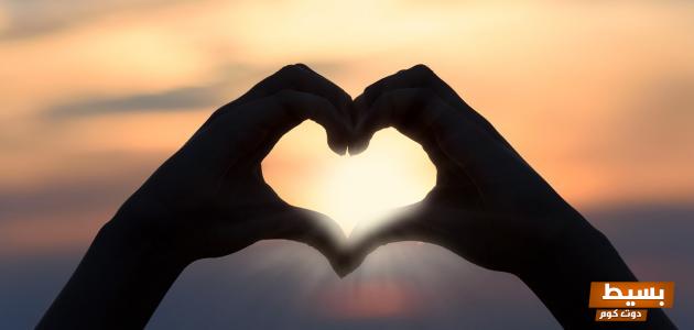 ما هي أشهر قصائد حافظ إبراهيم في الحب رحلة شاعرية تأسر القلوب وتلامس المشاعر 4 ما هي أشهر قصائد حافظ إبراهيم في الحب