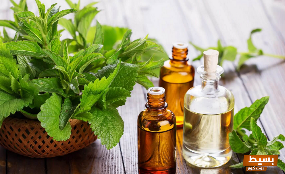 فوائد ماء النعناع المذهلة للشعر اكتشف كيف يمكن أن يحول شعرك إلى تاج من الجمال! 6 ماء النعناع للشعر e1636898372282