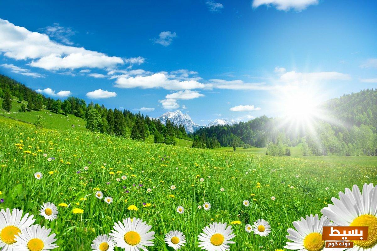 متى يبدأ فصل الصيف 2025 ومتى ينتهي اكتشف التفاصيل المثيرة لتخطيط عطلتك الصيفية! 4 متى يبدأ فصل الصيف 2022 ومتى ينتهي 1