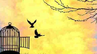 مفهوم الحرية في الفلسفة استكشاف عميق لجوهر الإنسانية ومفاتيح التغيير الاجتماعي 7 مفهوم الحرية في الفلسفة