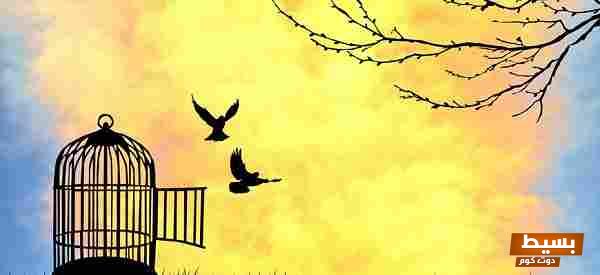 مفهوم الحرية في الفلسفة استكشاف عميق لجوهر الإنسانية ومفاتيح التغيير الاجتماعي 1 مفهوم الحرية في الفلسفة