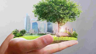 نص إرشادي شامل حول أهمية الحفاظ على البيئة لضمان مستقبل أفضل للأجيال القادمة 3 موضوع وسائل المحافظة على البيئة