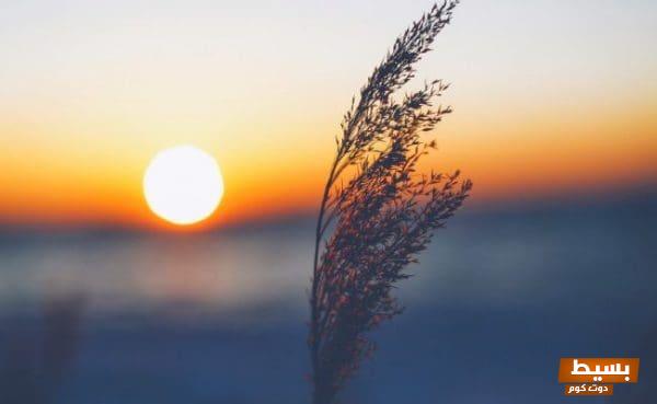 هل يجوز قراءة أذكار الصباح بعد الشروق؟ اكتشف الحقائق والأحكام الشرعية التي تهمك! 1 هل يجوز قراءة أذكار الصباح بعد الشروق4