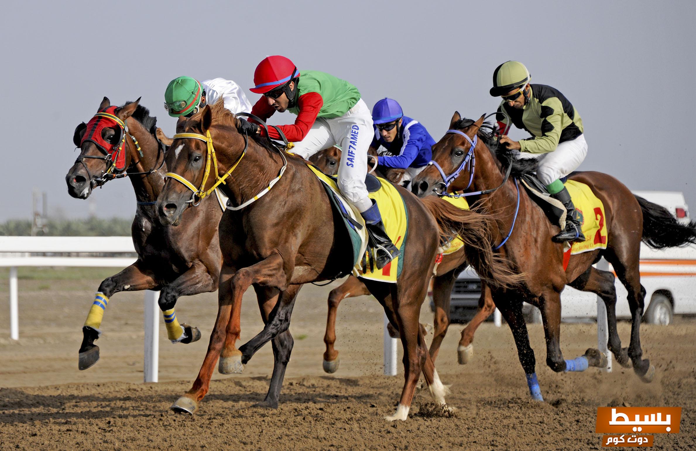 لماذا يجذبنا سباق الخيل في القرن الحادي والعشرين – سحر السرعة، الأناقة، والاستراتيجية 3 441426351903340